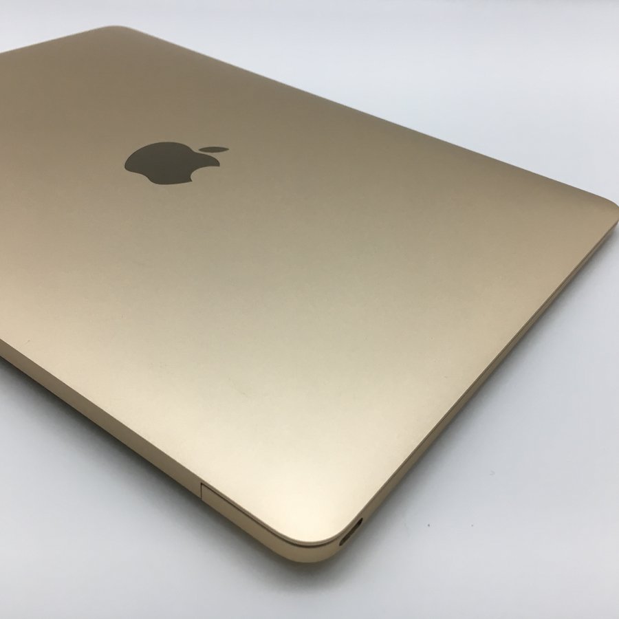 苹果【苹果 15年 12寸 macbook (外观型号:a1534)】8g