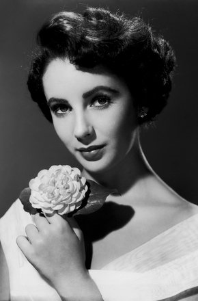 伊丽莎白·泰勒