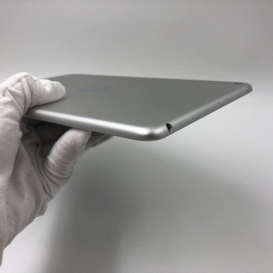 苹果【ipad mini5 7.