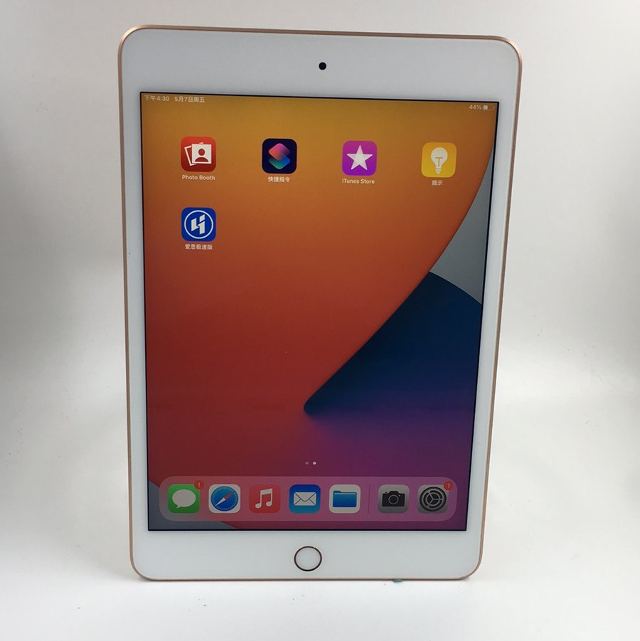 苹果【ipad mini5 7.